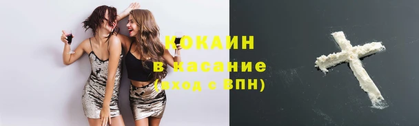 винт Ветлуга