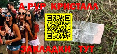 стаф Новокубанск