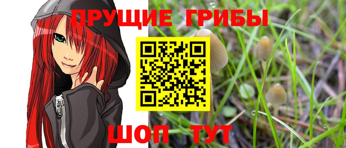 Псилоцибиновые грибы ЛСД Ревда