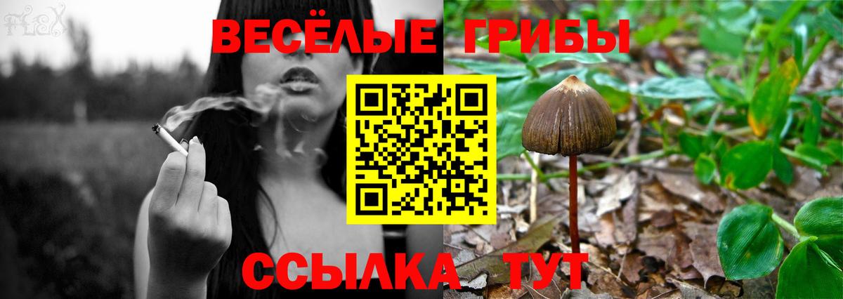 Ревда  Галлюциногенные грибы Psilocybine cubensis  купить наркотик  Вход с VPN 